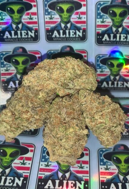 Miracle Alien Cookies Strain