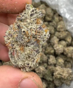 Apple Fritter Strain