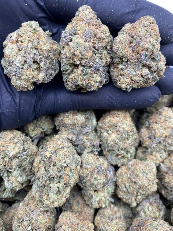 Blue Gelato strain