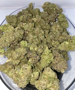 Blueberry Muffin Strain