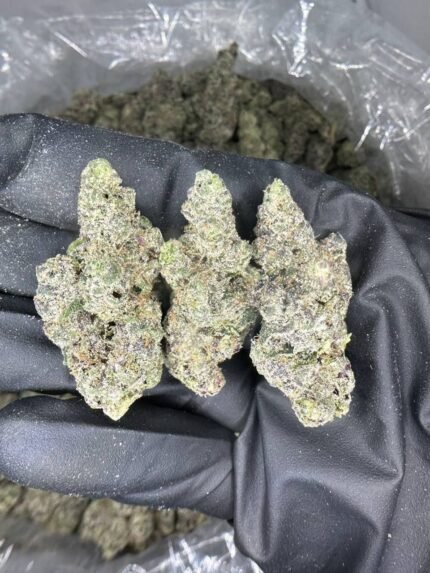 bubblegum popperz strain