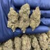 OG Kush
