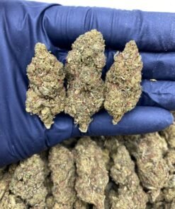 OG Kush