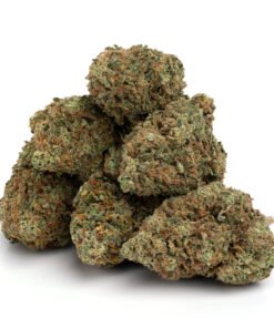 Buy Kosher Kush Strain