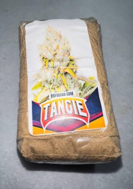 TANGIE HASH
