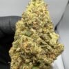 Buy Tropical Runtz strain
