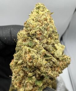 Tropical runtz strain