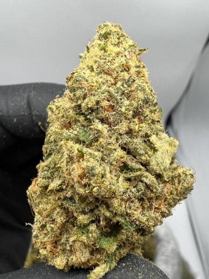 Tropical runtz strain